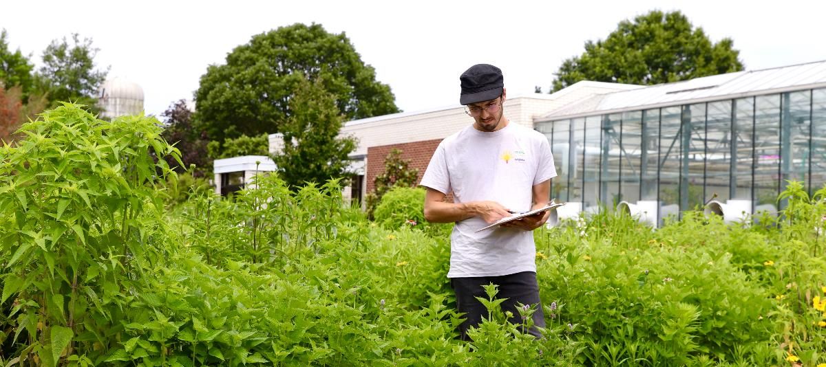 John Kaszan stands in a grasslands research plot in front of UD's Fischer Greenhouse.